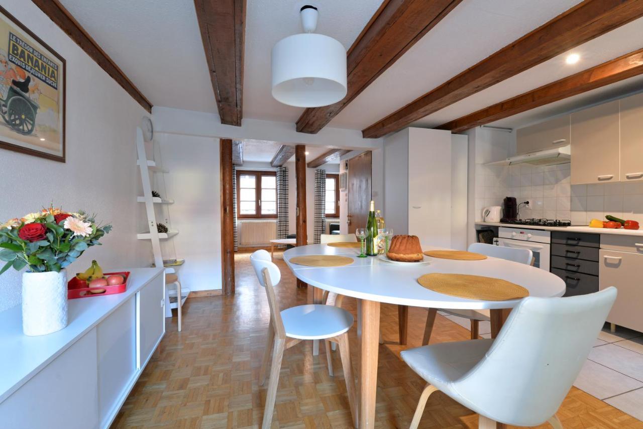 Appartement La Grande Terrasse Du Centre Colmar Dış mekan fotoğraf