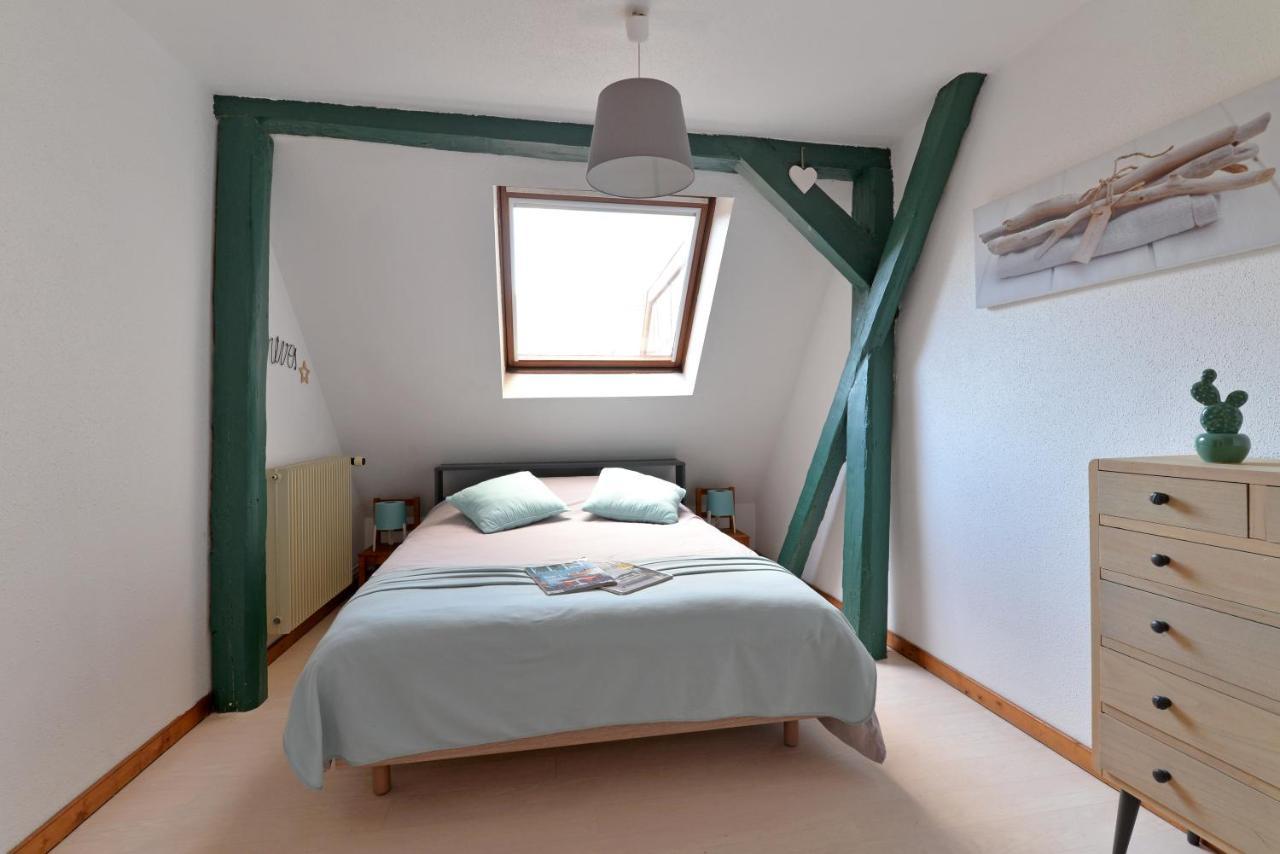 Appartement La Grande Terrasse Du Centre Colmar Dış mekan fotoğraf