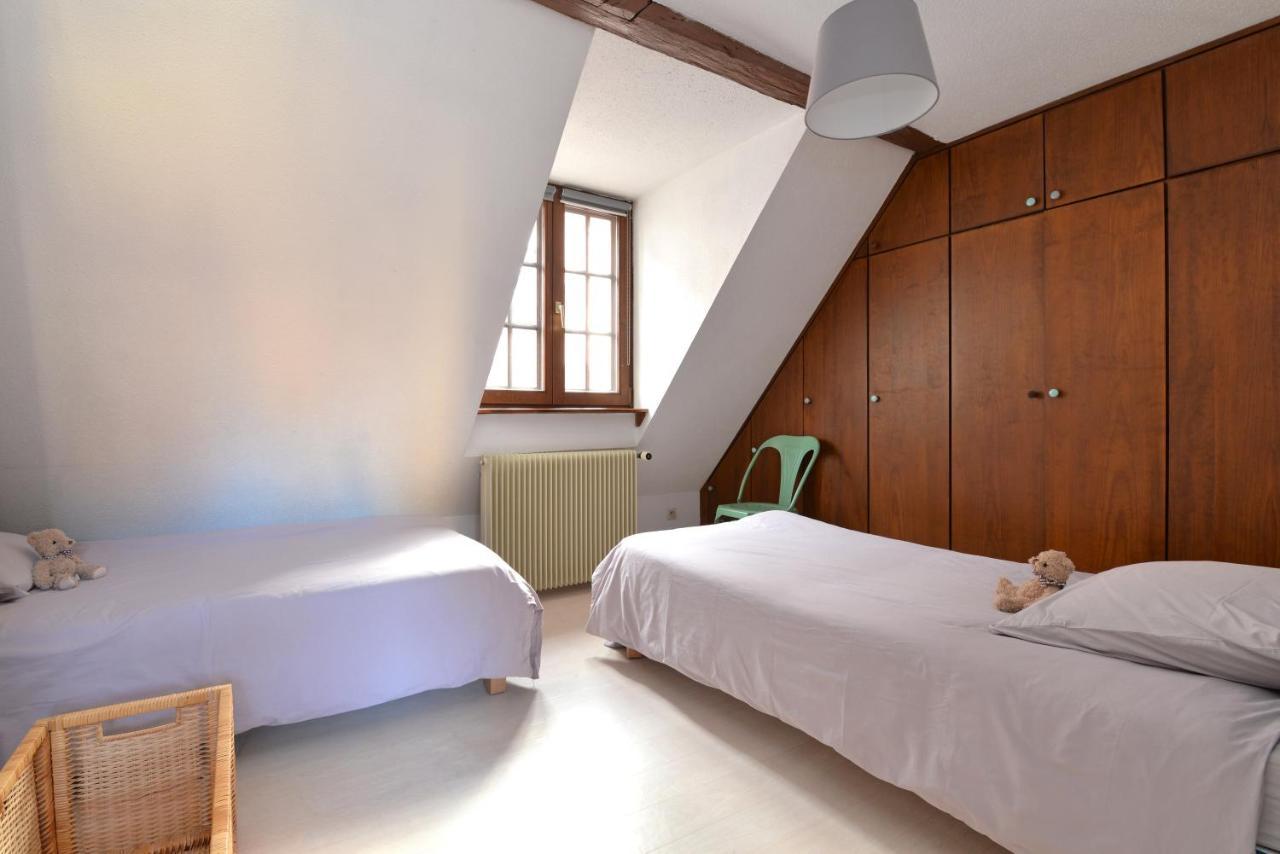 Appartement La Grande Terrasse Du Centre Colmar Dış mekan fotoğraf