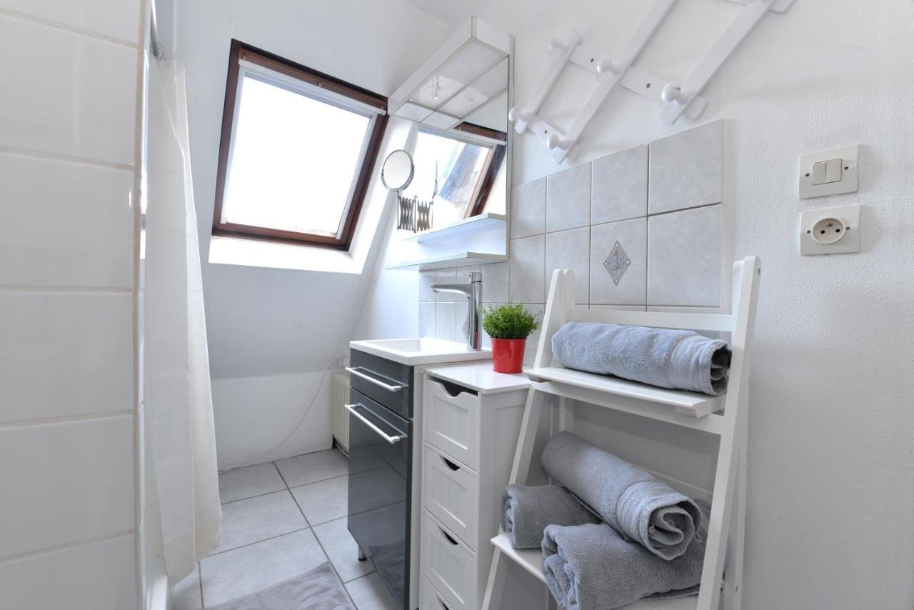 Appartement La Grande Terrasse Du Centre Colmar Dış mekan fotoğraf